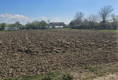 Teren de 1400 mp, în Roșu - 5