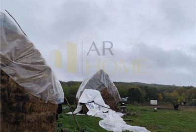 Casă cu 4 camere cu Teren 11250 Mp în Ștubeiu - 4