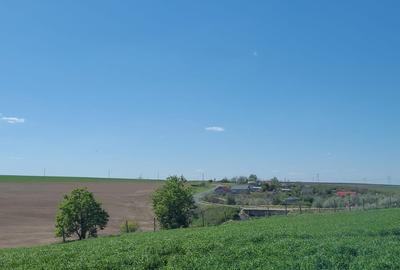 Fermă de vânzare în com. Deleni - DN3 - 10.680 mp - 84 m deschidere - 17