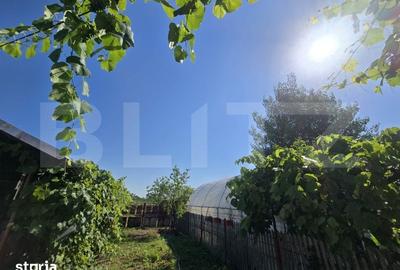 Casă cu 3 camere cu Teren 3360 Mp în Produlești - 14