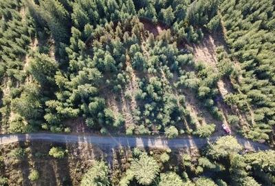 Teren 17,895mp Dorna-Arini / Prelungirea Cozanesti - 4