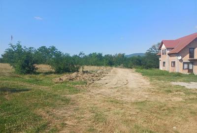 Teren de 1344 mp, în Tălmaciu - 3