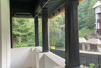 Apartament in vila cu arhitectura neoromaneasca + 917mp teren in curte amenajata - 8