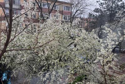 Apartament cu 2 camere decomandat, mobilat în Muncii - 3