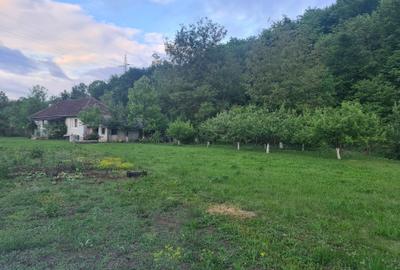 Casă cu 3 camere în Central - 1