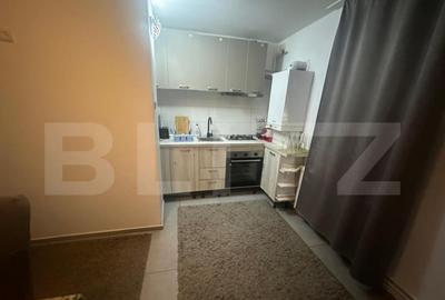 Apartament de vanzare, cu 2 camere mobilat si utilat +garaj - 7