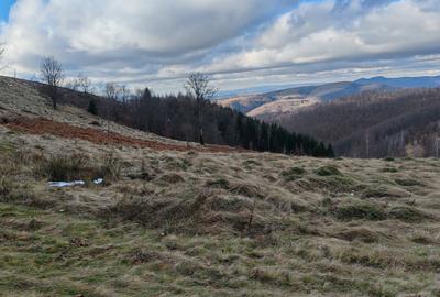 19,5 Ha  TEREN PEISAJ PANORAMIC SPECTACULOS zona turistica montana BULZ -  BIHOR - 55