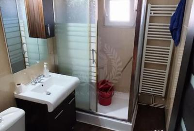 Apartament cu 2 camere decomandat în Paltiniș - 9