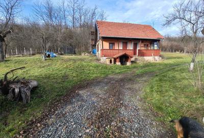 Casă cu 2 camere în Bejan - 8
