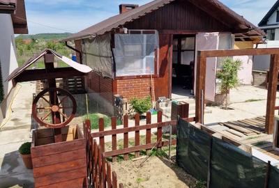 Casă cu 2 camere în Ostroveni - 4