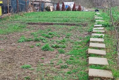 Teren de 1167 mp, în Măgura - 4