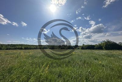 Teren Vanzare 11.000 MP Ghirdoveni | Comision 0% - 18