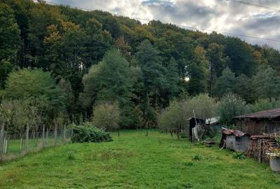 Casă cu 4 camere în Sovata - 1