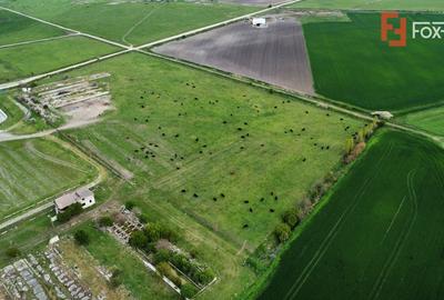 Teren Construcții intravilan de 58340 mp, în Sânmartinu Sârbesc - 11