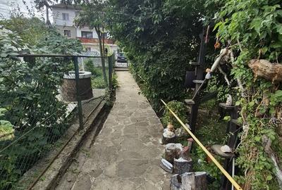 Vila 4 camere + teren 818 mp central Provita de Sus (lângă școală) - 50