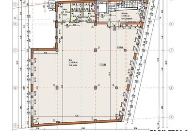 Imobil versatil cu functiuni mixte zona P-ta Mihai Viteazul - 30