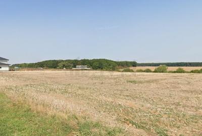 Teren 700mp Balotesti Dumbraveni Edenland - 3