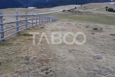 Teren de 3854 mp, în Paltin - 3