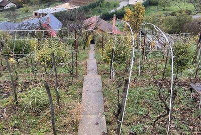 Casă cu 3 camere în Oncea - 2