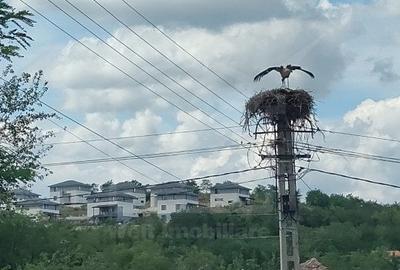 Casa veche, toate utilitatile, Pata, 5808 mp, tot intravilan, front 19,4m - 9