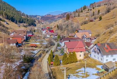 VILA SCANDINAVIA / Pensiune / Moieciu de Sus - 27