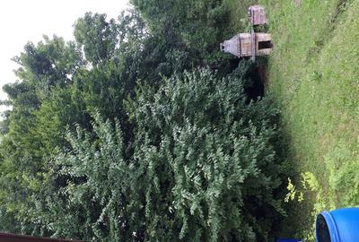 Casă cu 5 camere cu Teren 2345 Mp în Breaza - 8