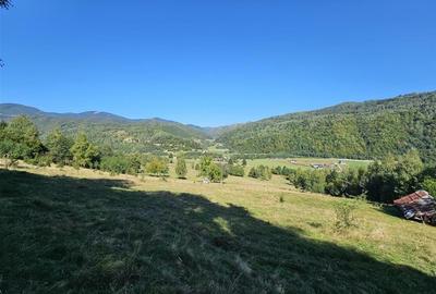 Teren intravilan, 21.000 mp, Zona Intre Barse, spre Plaiul Foii, Zarnesti - 1