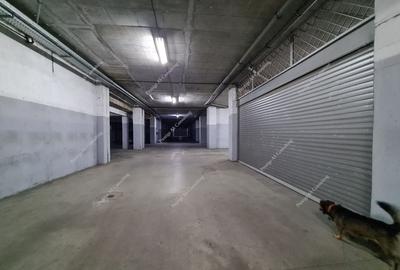 Penthouse Central 180 mp pet-friendly cu Vedere Panoramica si Garaj dublu - 16