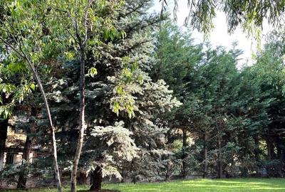 Casă individuală cu 4 camere cu Canalizare în Balotești - 25