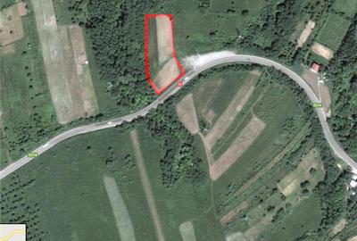 Teren de 5000 mp, în Măgura - 1