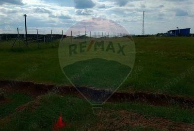 Teren intravilan, zona in plina dezvoltare industriala loc. Frumuseni - 1