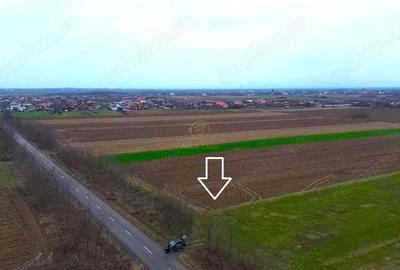 Teren de 4300 mp, în Medieșu Aurit - 3