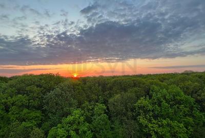 Apartament cu 2 camere decomandat, mobilat în Pipera - 2