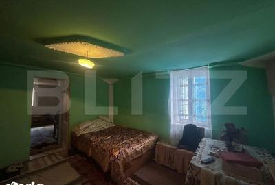 Casă cu 4 camere cu Teren 12186 Mp în Rapoltu Mare - 1