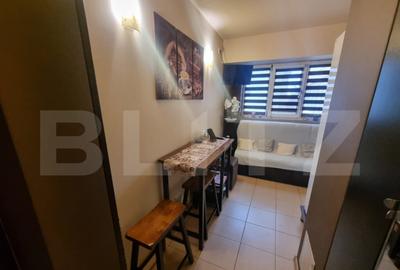 Garsoniera, 30 mp, zona Rovine - 7