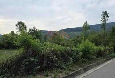 Teren Intravilan, utilitati in zona, 2600 mp, Draganeasa, Prahova - 4