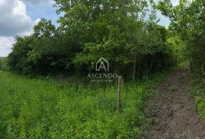 Teren Construcții intravilan de 15900 mp, în Fințești - 14