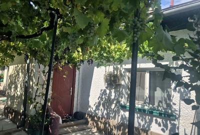 Casă cu 2 camere cu Teren 300 Mp în Ferentari - 1