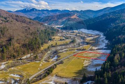 Teren intravilan de 10000 mp, în Brădet - 4