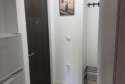 Garsonieră decomandată în Malu Roșu - 8