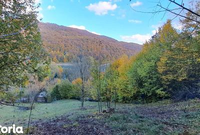 Teren de 2000 mp, în Valea Doftanei - 2