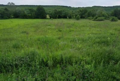 Teren de 3000 mp, în Butoiu de Sus - 3
