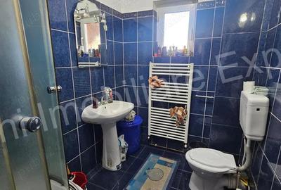 Casa + spa?iu comercial de vanzare in Curtea de Arge?. - 16