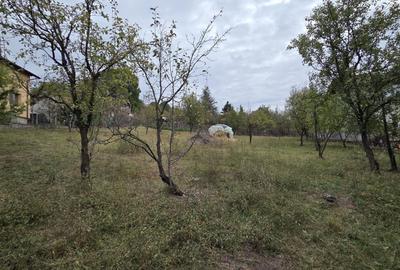 Teren de 1154 mp, în Cornu - 7