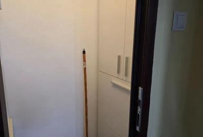 Apartament cu 2 camere, PET FRIENDLY, zona Podu Ros - 10