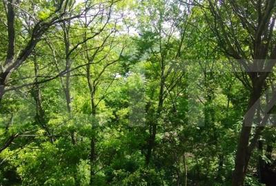 Casa 3 camere 64 mp, 250 mp, Sarariei - 9