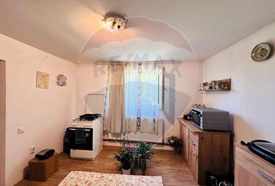 Casa cu Toate Utilitatile,Vedere Panoramica,Livada-Stefanesti, Arges - 27