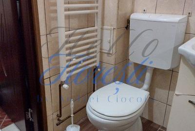 Apartament cu 2 camere, mobilat în Gruia - 1