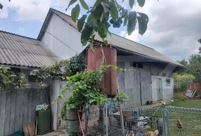 Casa cu 4 camere, 110mp, centru Mihaileni - 12