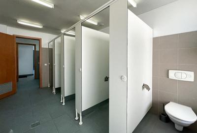 Proprietate specială, de 2,560 mp, în Coiciu - 9